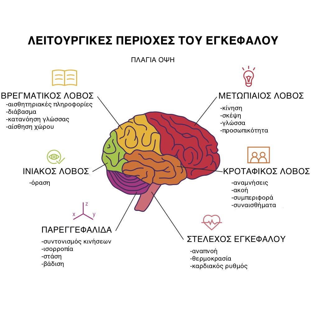 Συμπτώματα όγκων εγκεφάλου ανά λοβό εγκεφάλου